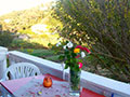Corfu studios for rent, Villa Vania